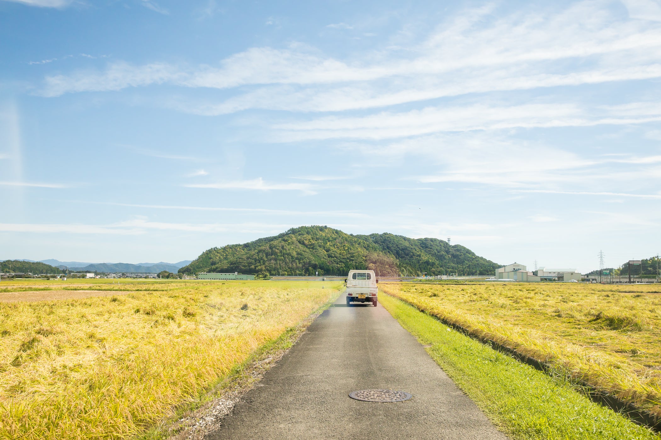 大豆 だいず – お米の家倉